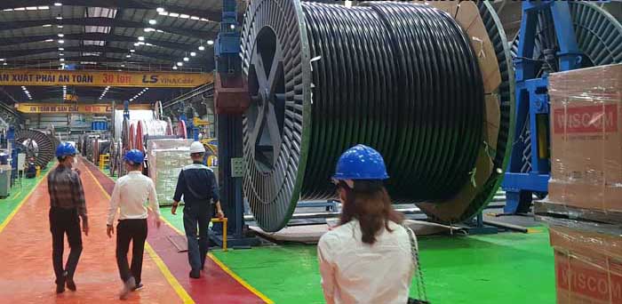 Bảng Giá Dây Cáp Điện LS Vina - Cáp Ngầm Trung Thế LS Vina Mới Nhất
