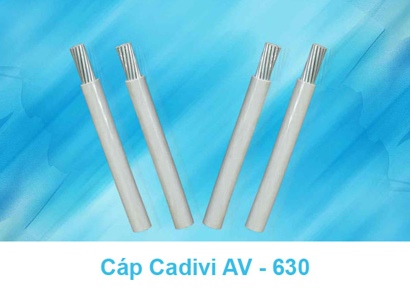 Cáp Điện CADIVI AV - 630mm2 0.6/1kV - Cáp Nhôm Hạ Thế