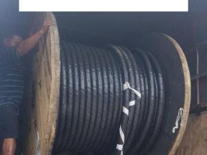 Cáp CADIVI CXV/DSTA 3x4 + 1x2.5, CXV 3x6 + 1x4 - Cáp Hạ Thế