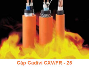 Cáp Chống Cháy CADIVI CXV/FR - 25mm2, 35mm2 0.6/1kV