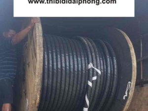 Cáp CADIVI CE/FRT-LSHF - 50mm2 0.6/1kV - Cáp Chậm Cháy