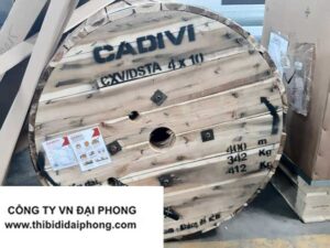 Cáp Ngầm Hạ Thế CXV/DSTA 4x10mm2 0.6/1kV CADIVI