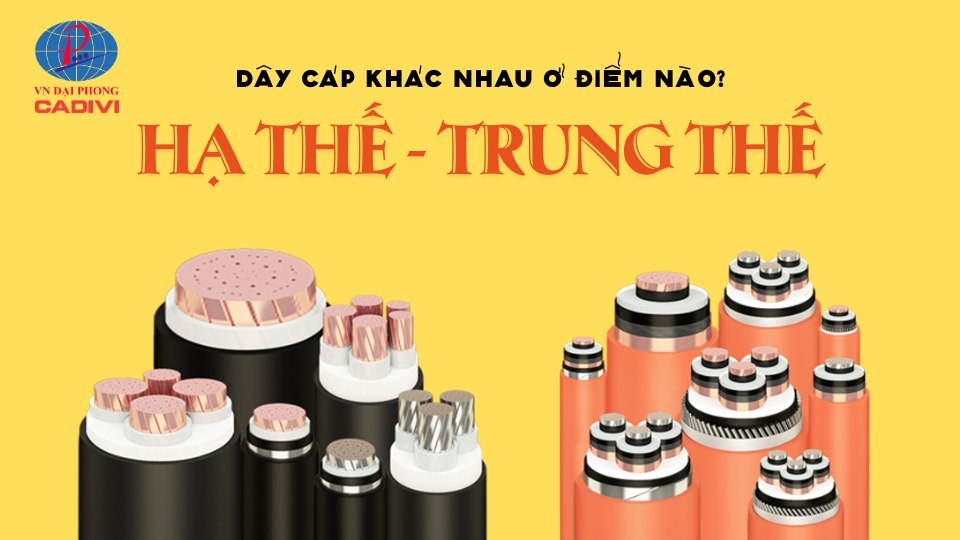HA THE – TRUNG THE DAY CAP KHAC NHAU O DIEM NAO